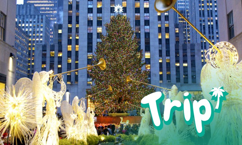 Um abeto de 24 metros de altura será a árvore de Natal em frente ao Rockefeller Center de Nova York